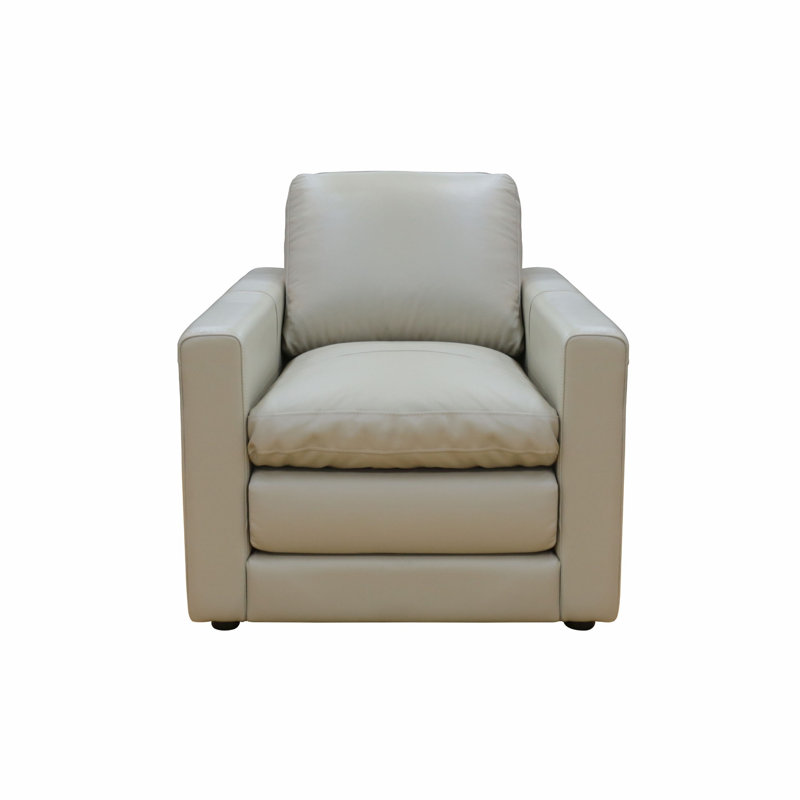 Fauteuil rembourré, fauteuil de salon avec coussin, fauteuil simple pour chambre à coucher, salon