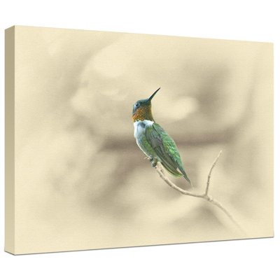 " Ruby Throated Humming Bird "