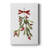 Mistletoe Bow I -Custom Wrapped Gallery Cavas
