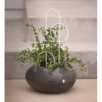 Dimitritchka Pot Planter