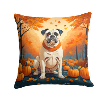 Other/No Pattern Outdoor Throw Pillow