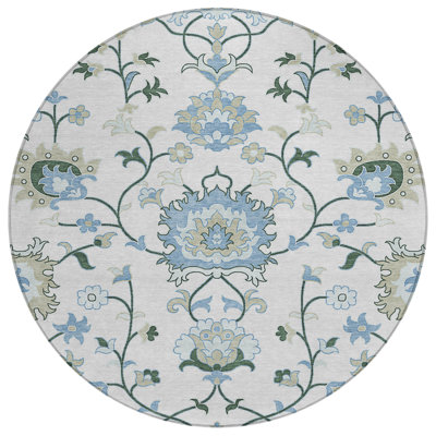 Machine Washable Indoor/Outdoor Chantille ACN2291 Global Rug