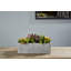 Sydnee 19cm Succulent in Cement Planter
