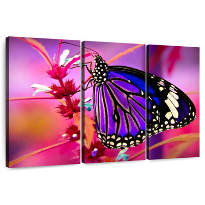 Magnifique papillon mauve
