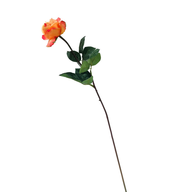 Arrangement floral de roses, Corail