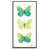 Black Floater Framed selected