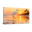 Animaux, coucher de soleil, plage, héron, palmiers, reflet, eau, ciel-2054780523