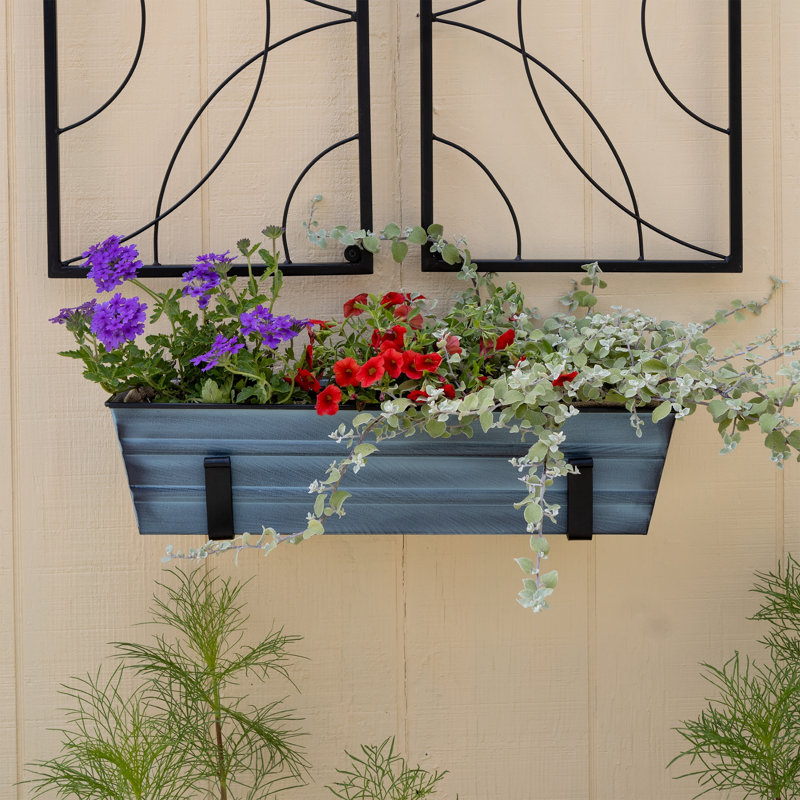 Small Blue Galvanized Metal Wall-Mounted Planter Box