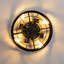 Ventilateur de plafond en cage noir mat 16 "avec lumière et télécommande, plafonnier encastré Farmhouse