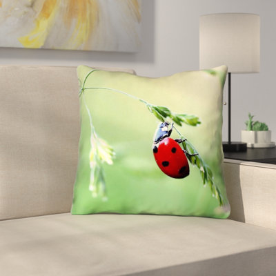 Myriam Ladybug Throw Pillow