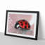 Red Ladybird Insect on a Pink Petal in Abstract - Picture Frame Painting Print-55771818-55771823