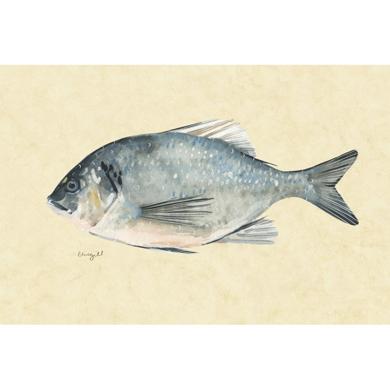 Catch Of The Day I by Emma Scarvey - Painting on Canvas, 20 cm H x 30 cm W, Wrapped Canvas