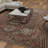 Oriental Indoor Rug-249421280