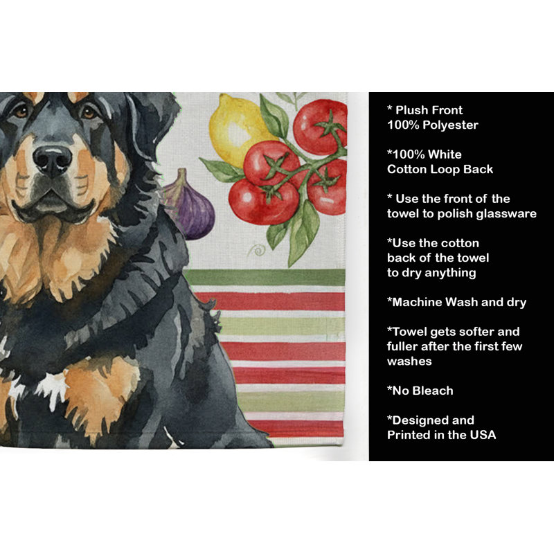 Torchon noir et brun clair, Black/Tan Tibetan Mastiff