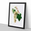 Muscat Grapes by Giorgio Gallesio - Picture Frame Painting Print-55580941-55580942