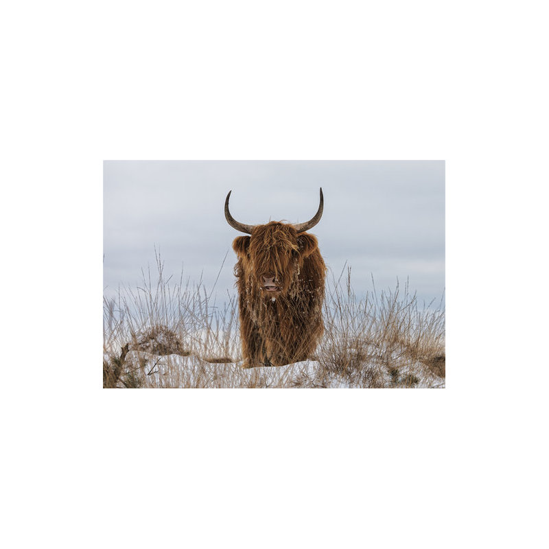 Wrapped Canvas Print, 50.8 cm H x 76.2 cm W