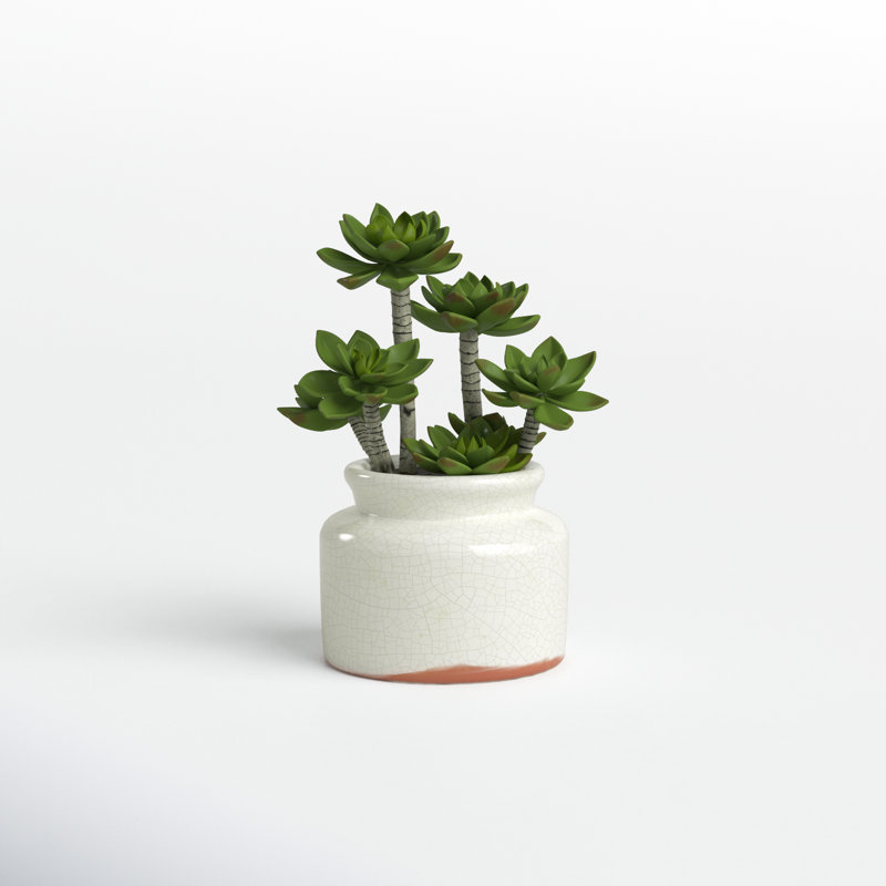 11'' Faux Succulent in Ceramic Pot