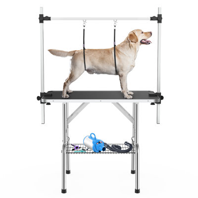 RoomTec Dog Grooming Table with Adjustable Height & Reviews | Wayfair