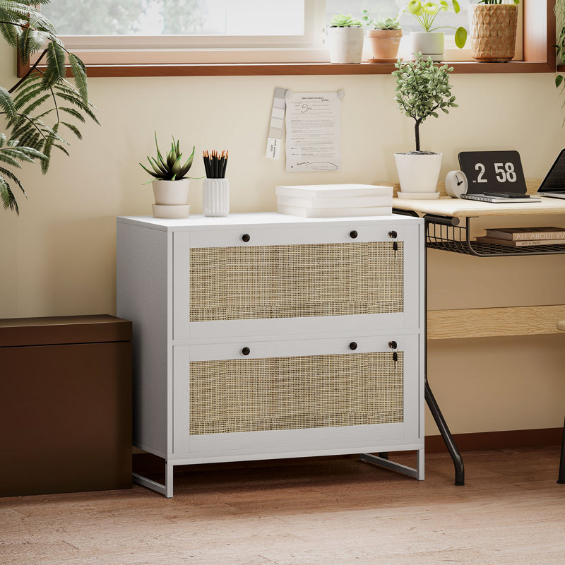 2 Drawer File Cabinet with Lock, Vertical Filing Cabinet with Keys, Rattan Drawers and Adjustable Hanging Bar for Letter, A4 and Legal Size Paper, White