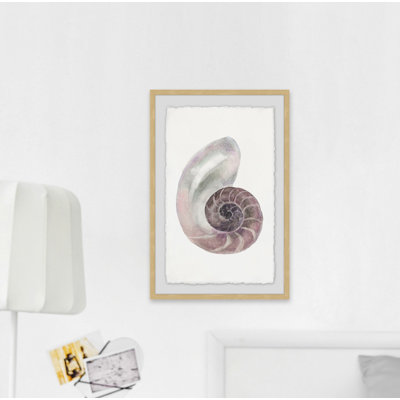 " Usual Shell " Painting Print