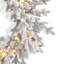 Couronne Dandan-88728944