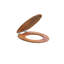 Soft Close Elongated Hard Toilet Seat