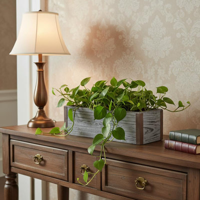 Boîte à fleurs rectangulaire en bois gris vieilli 151 onces