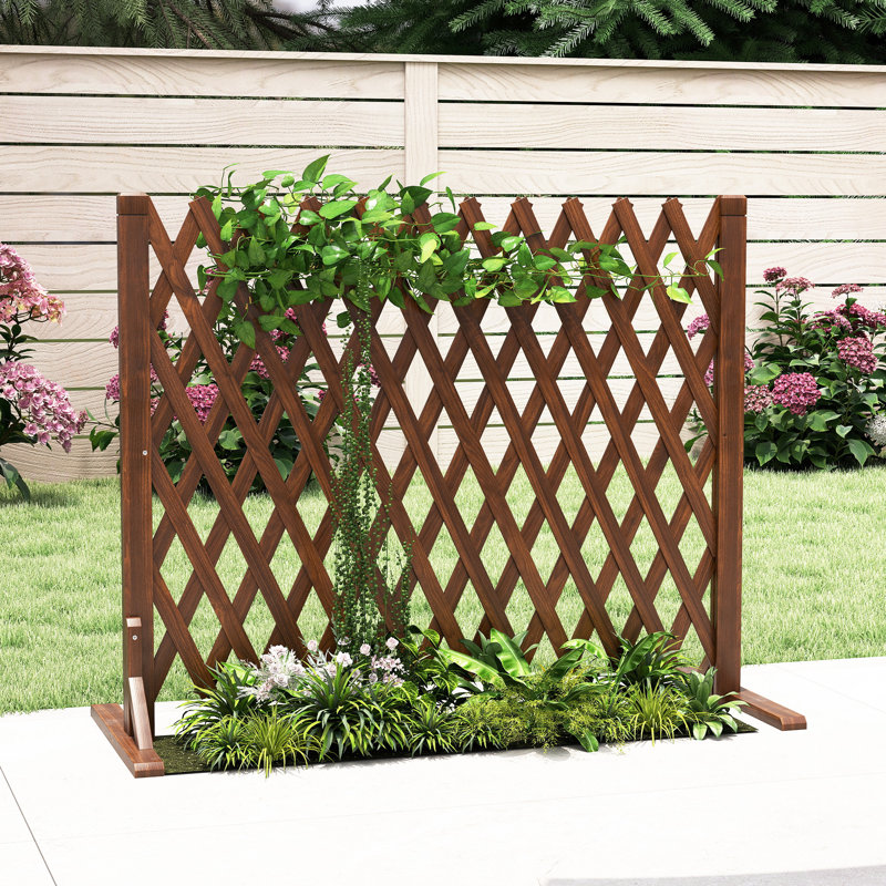 Clôture en bois naturel extensible, Brun
