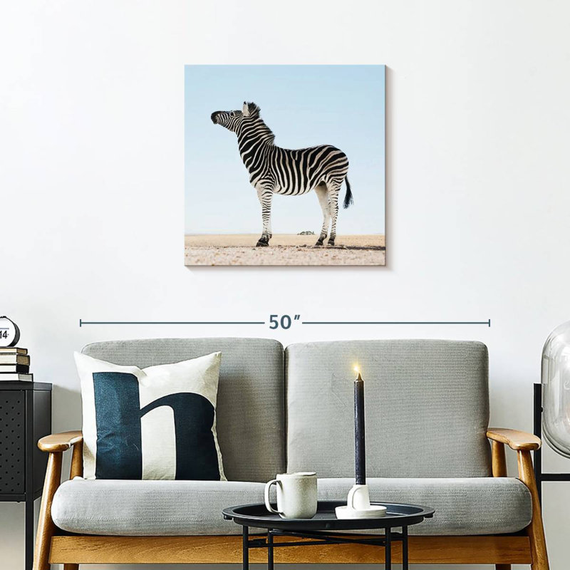 Brampt Moorreesburg Zebra
