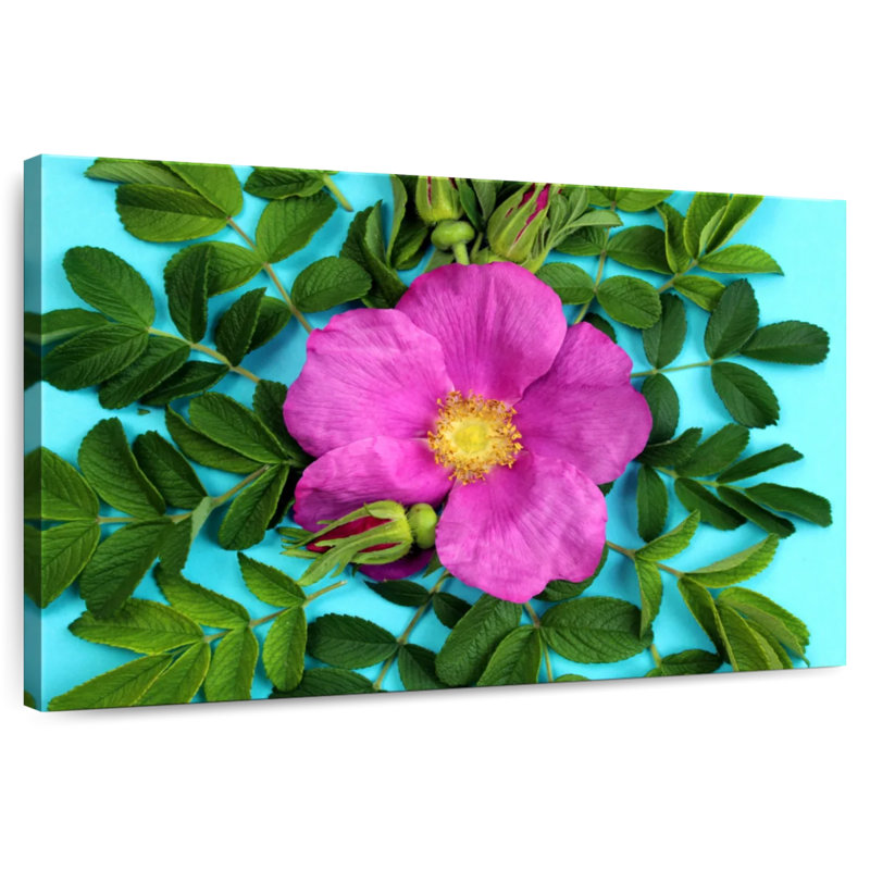 Rose Harnek Magenta, H 32 po x l 48 po