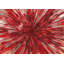 Crimson Static