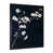 Black Picture Framed