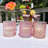 3 Piece Pink Beach Chic Hurricane Candle Holders