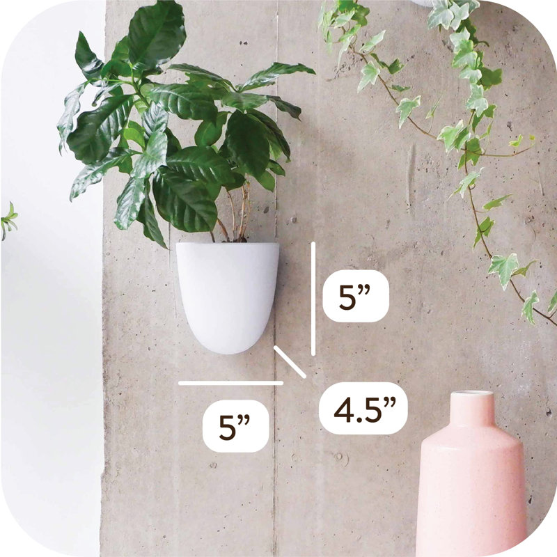 Wall Planter
