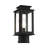 Cortana Transparent Lantern Head-382069508
