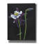 «Blossom» par Barbara Keith, art mural sur toile, 26 po x 34 po-127907373