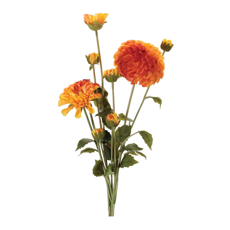 Ensemble de fleurs Zinnia (ensemble de 2), Orange, jaune, vert
