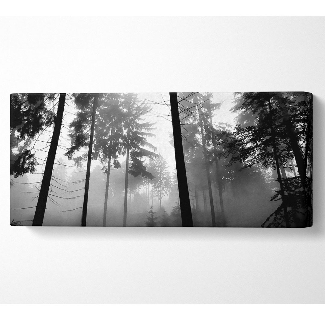 Mist Of The Woodland B N W - Leinwanddrucke auf Leinwand