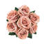 Velours rosier-363887442