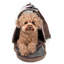 Cage de transport pour animal de compagnie pliable avec fermeture à glissière Pet Life-737007849-736784303