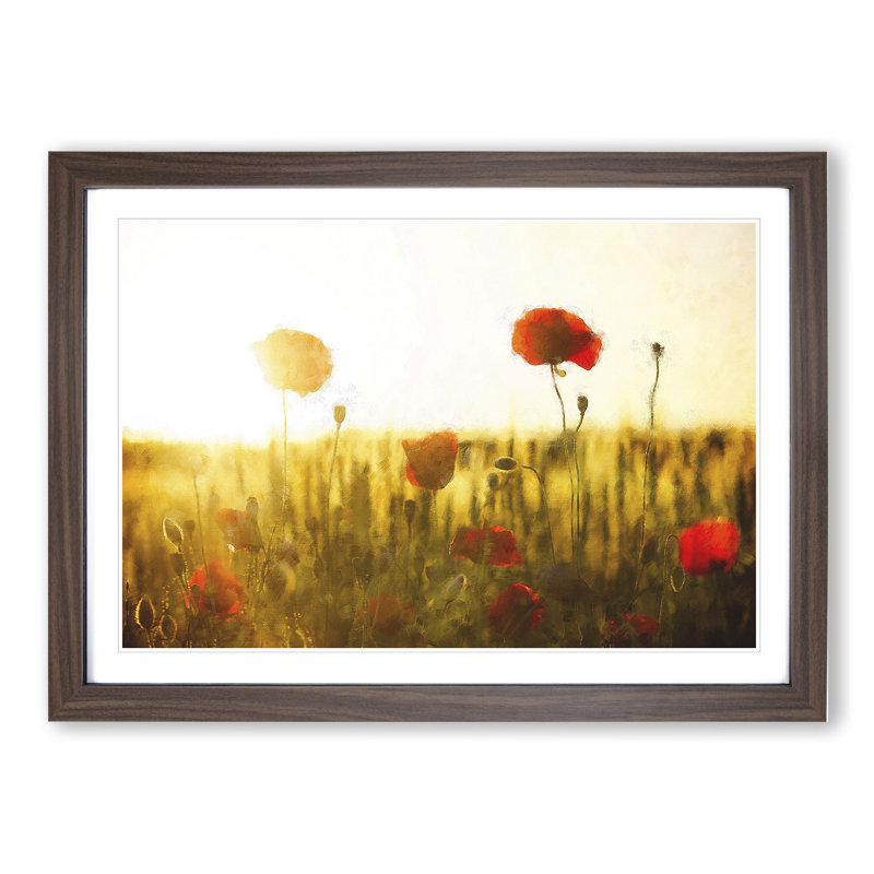 Field of Poppies Vol.5 - Framed Print, Walnut Framed, 36cm H x 48cm W x 2cm D