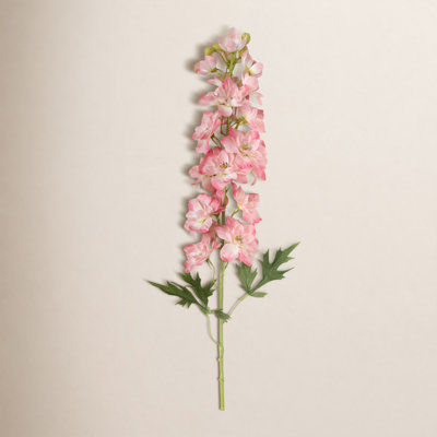 37 po. Delphinium rose corail 37 po