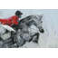 Parvez Taj - Wrapped Canvas Painting-36743661