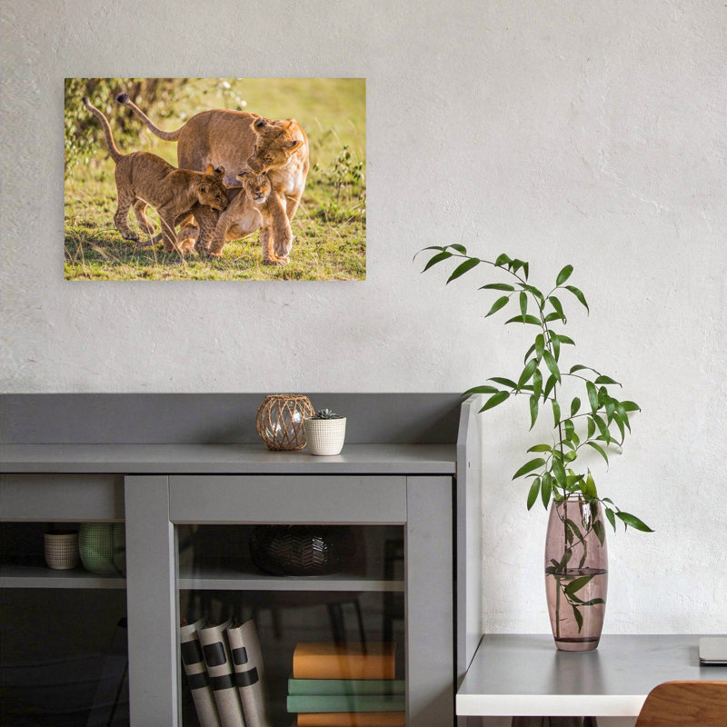 Tender Lion Family Contemporary Cat Lion Nature Wildlife Wall Art Print 1 Piece Wrapped Canvas Wall Art