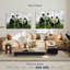 Hiver Pandas-717257914