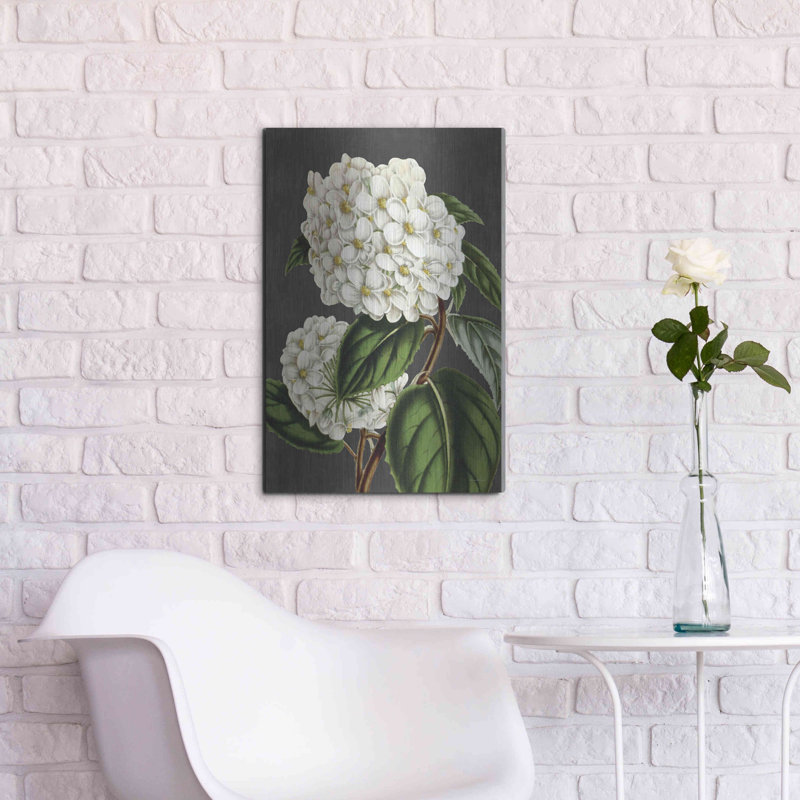 " Hydrangea " by Lettered & Lined