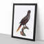 Black Lory by F. Levaillant - Picture Frame Art Print-55512582-55512583