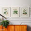 Antique Turpin Botanical I - ensemble de 3 peintures sur toile encadrées-1376143489-1376143494