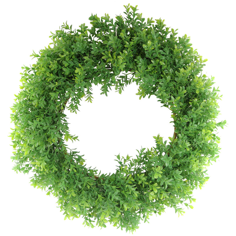 Fresh (Live) Fern 19'' Wreath