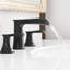 Mounting / Installation Required 2-handle Bathroom Faucet with Drain Assembly-98303459
